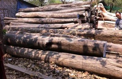 法國木材行業 經濟復蘇趨勢下的銷售新機遇