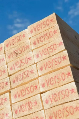 芬蘭維森木業高層到訪融匯高端，深化合作共探木材銷售新機遇