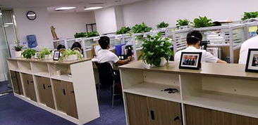 湖南企業(yè)管理咨詢行業(yè) 賦能企業(yè)成長，驅(qū)動區(qū)域經(jīng)濟新篇章